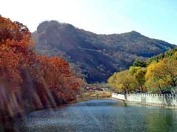 新澳门二四六天天开奖，神医